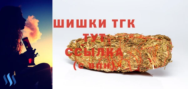 молекула духа Новый Уренгой