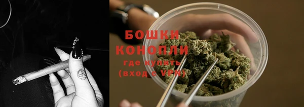 индика Орехово-Зуево