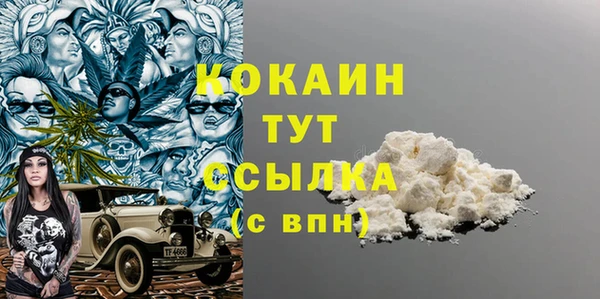 индика Орехово-Зуево