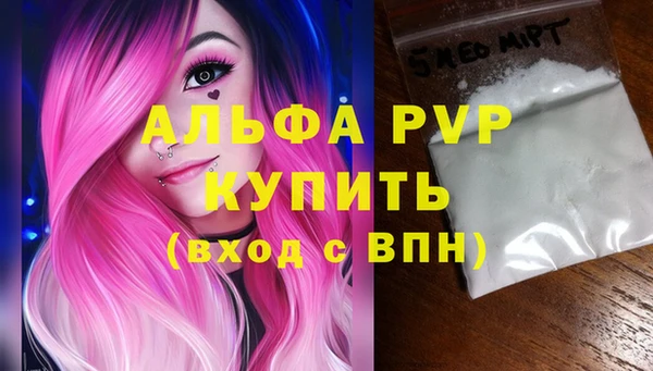 молекула духа Новый Уренгой