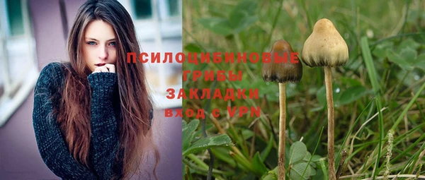 скорость Долгопрудный