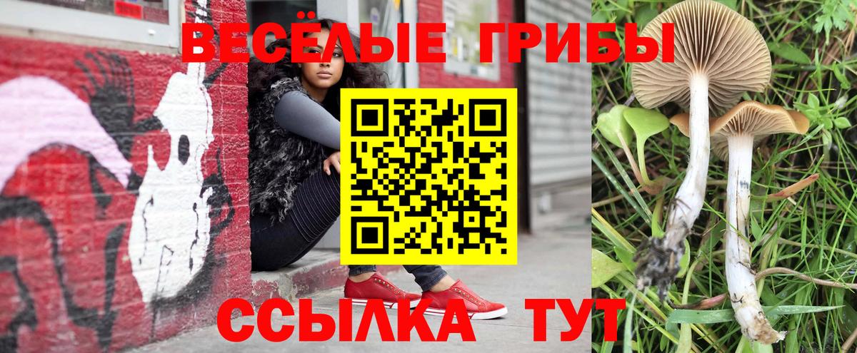 Кисловодск  Псилоцибиновые грибы Psilocybine cubensis  Вход с VPN 